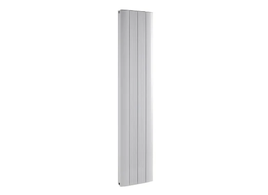 Image for Rene Double Radiator